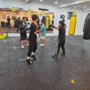 스타복싱클럽 연천 | 연천 전곡 복싱 제대로 배우고 싶다면, WJ복싱클럽 연천점 솔직 후기