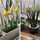 프로마 이미지