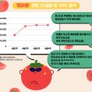 토마토바디케어