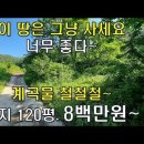 대지농장 이미지