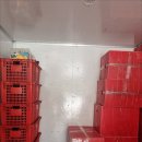 바로이사익스프레스 이미지