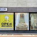 베스띠몽 이미지