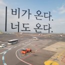 홍대보니따 이미지