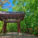속리산능이송이칼국수