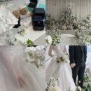 고타커피 | [공지] 결혼준비 총정리｜스드메부터 본식까지 기록 모아보기