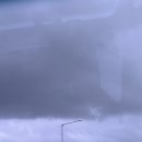 해동상회 | [부산] 2박3일 여행기록 1 / 합천일류돼지국밥, 깡돼후, 돼지갈비, 자갈치시장(해동상회)