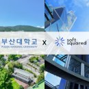 소프트스퀘어드