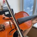 아이러브음악학원 | 부산 성인 직장인 바이올린레슨 리얼후기!서면 아이러브직장인음악학원