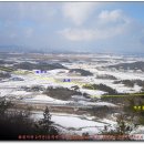 진등농장 이미지