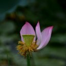 서오지리 이미지