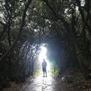 제주 올레길 5코스 이미지