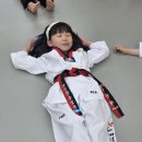 한국체대 바른 태권도장 이미지