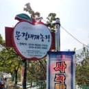 박은영농장 이미지