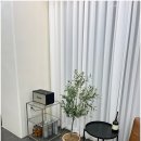 우디헤어 이미지