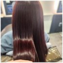 제인헤어 이미지