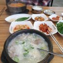 참한국밥(무거점) 이미지