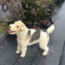 허니약국 이미지