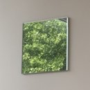 대학로(유성-2) 이미지