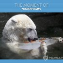 얼음과자
