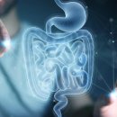 HAN'S physical lab 이미지