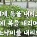 목마른 내 영혼 / 예쁜카톡이미지 이미지