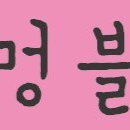 블링펫살롱 이미지