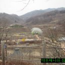 예천곤충연구소 티스토리