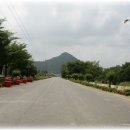 인각사 - 군위군 고로면 | 인각사