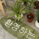 엠지카페 이미지