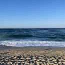 애견동반 강릉 속초 출장 겸 여행 다녀온 후기 (세인트존스 비추후기) (인용글입니다) 이미지