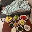 금오검도관 이미지