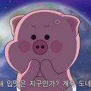 마음프로
