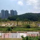 화성도시공사 체육시설 1부 왕배산체육공원 축구장 | 화성특례시, 30일 동탄(2)택지개발지구 4단계 ‘다올공원 및 왕배산체육공원’ 조기 개장