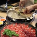 폴인샤브 이미지