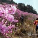 비단복권 이미지