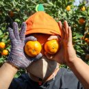 하율농장 이미지