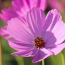 경희대 극동태권도 이미지