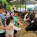 선문농장 이미지