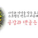 효소원 순두부와 청국장 그리고 전 이미지