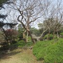 순천금당고등학교 이미지