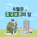 풍성한세탁 이미지