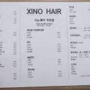 지노헤어(작전점)