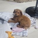 사임당로공원 | 🍾🍺10월 일상(서순라길,중앙시장 비아김밥,힌터하우스,반포한강)