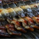 참맛장어 이미지