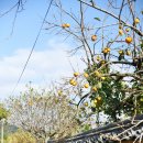 수타사 용담 공중화장실(큰거) | 산청 가볼만한곳, 단계마을 옛 담장 길 걷기