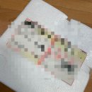 방어회 좋아하는 분들 주목 - &lt;랄라푸드&gt; 방어회 필렛 후기