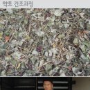 장흥농산 티스토리