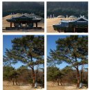 연흥 유치원 | [경기도 여행] 동쪽으로 9기의 릉이 있는 구리시의 동구릉!~~ ^^