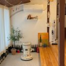 디어터틀(dear turtle) 이미지