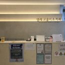 디오연세치과의원 이미지